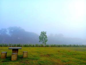 Chiang RaiFIELD GOOD Resort at Chiang Rai的背景树的田野上的长凳 更多35张照片