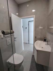 a bathroom with a toilet and a sink at Apartment Sulmare in Brodarica