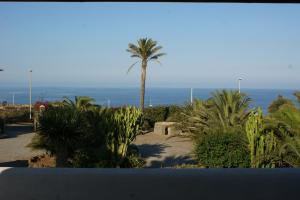 a view of a palm tree and the ocean at Dammuso Villa Giò in Pantelleria