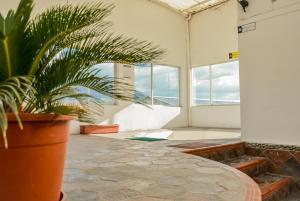 Fotografie z fotogalerie ubytování HOSTAL DEL RÍO v destinaci Ibarra