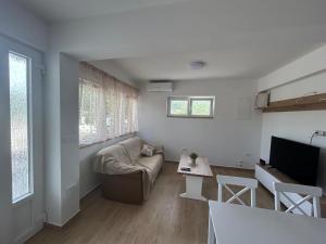 Televízia a/alebo spoločenská miestnosť v ubytovaní Gvačić House