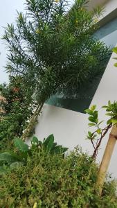 Κήπος έξω από το Atithi home stay and Cloud Kitchen