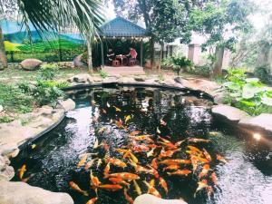 Gallery image of Khu Sinh Thái Ba Vì Eco Camping - Nhà Sàn in Mỹ Khê
