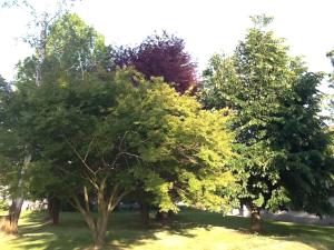 Zahrada ubytování B&B Cascina Baraggione