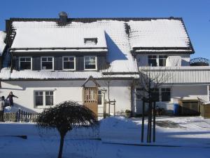 a house covered in snow with a person walking in front at Ferienwohnung Mia in Winterberg