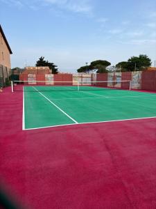 乐巴凯尔斯Azur Premium Climatisé 4 étoiles au camping la presqu'île du Barcarés vue imprenable的带有绿色和粉色网球场的网球场