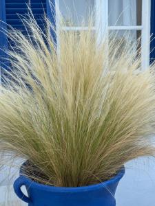 Φωτογραφία από το άλμπουμ του Kionia Galini Bangalows στα Κιόνια +247 φωτογραφίες