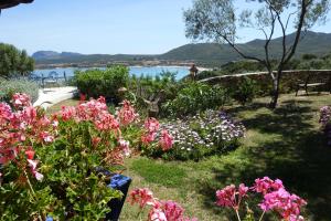 Imagen de la galería de Domus de Rocas Holiday House, en Porto Rotondo