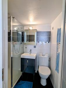 a bathroom with a toilet and a sink and a shower at Escapade cœur de ville Narbonne in Narbonne