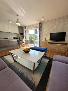 Televízia a/alebo spoločenská miestnosť v ubytovaní Apartament Juzo Villa Mountain View
