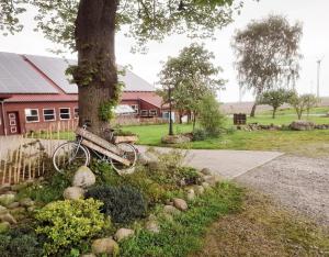 una bicicleta estacionada junto a un árbol al lado de un edificio en Übernachtung im Bauwagen, en Stedesdorf