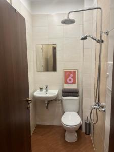 Kupatilo u objektu Dunav 11 +11 fotografija