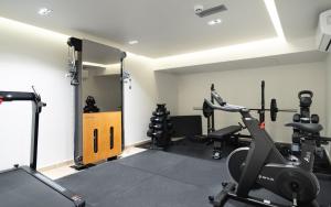 Fitness centrum a/nebo fitness zařízení v ubytování Aeolian Spirit Suites