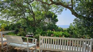 two white benches sitting in a garden with flowers at Casa Terranova in Ustica