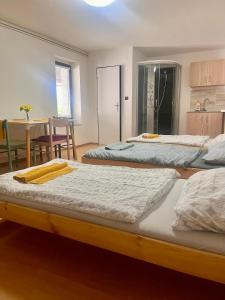 Letto o letti in una camera di Ubytování na venkově Církvice
