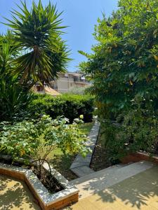 Foto dalla galleria di La Gran Dama a Roseto degli Abruzzi