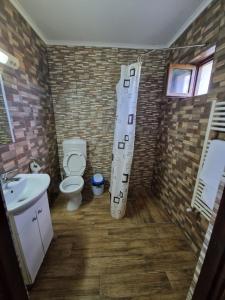 a bathroom with a toilet and a sink at Vila Sura Razoare in Sighişoara +44 photos