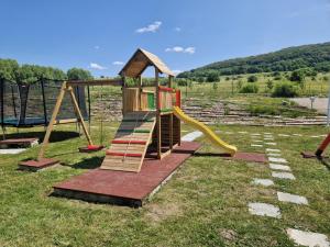 a playground with a slide in the grass at Vila Sura Razoare in Sighişoara
