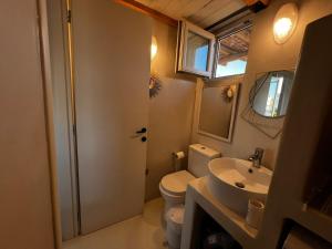a small bathroom with a toilet and a sink at Antiparos Private House Agios Georgios in Antiparos +24 photos