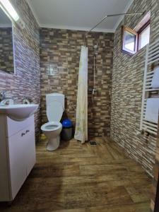 a bathroom with a toilet and a sink at Vila Sura Razoare in Sighişoara