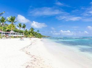 a beach with palm trees and the ocean at Studio Ti Paradis in Sainte-Luce