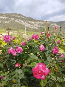 Phong cảnh thiên nhiên gần khách sạn +15 ảnh