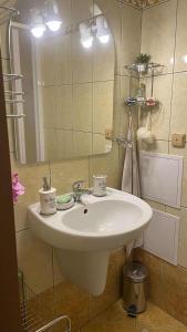 a bathroom with a white sink and a mirror at U Lesa Apartmány Harrachov in Harrachov +38 photos