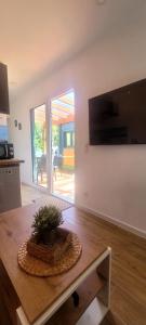a living room with a table with a potted plant on it at Domek Herada 2 in Jastarnia +12 photos