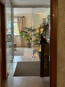 Fotografie z fotogalerie ubytování Corzo Hotel v destinaci Cercedilla