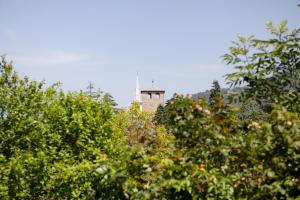 Fotografie z fotogalerie ubytování Maison Le Cré Appartamento 2 v destinaci Introd