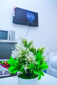 TV a/nebo společenská místnost v ubytování TSAVO Apartment