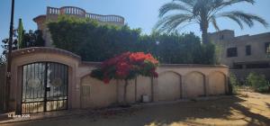 Afbeelding uit fotogalerij van Paradise Villa - King Mariout in King Mariout