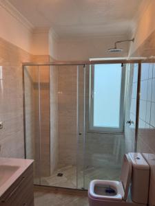 シェンジンにあるHoliday Apartmens Neliのシャワー、トイレ、洗面台付きのバスルーム