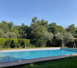 a swimming pool in a yard with trees at FINCA VERGEL Alojamiento con encanto habitaciones con baño in Gata