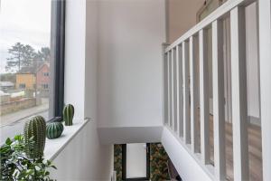 a staircase in a house with a cactus at Zest Homes 87b Bridge Street in Leominster