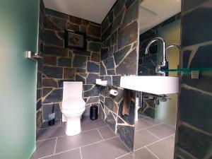 a bathroom with a toilet and a stone wall at Ferienhaus NaturReich in Bad Berleburg