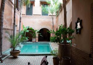 马拉喀什Riad Dar Hamid Hotel & Spa的一座种植了植物的建筑中,设有游泳池的庭院