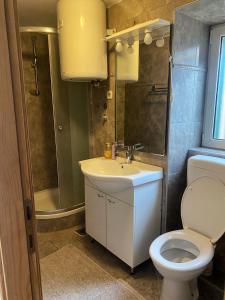 a bathroom with a toilet and a sink and a shower at Apartman Roko in Tribunj