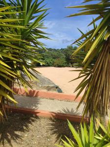 Фотография из галереи Camping Le Parc des Chênes в городе Ла-Круа-Вальме