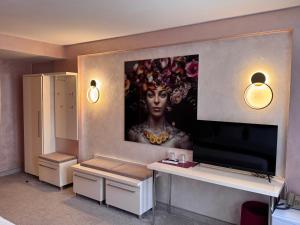 TV a/nebo společenská místnost v ubytování Hotel Dafi