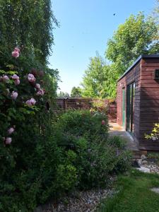 un giardino con un edificio e alcune rose rosa di temps 1solite a Andenne