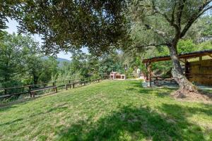 a picnic table in a field with a tree at La Liguria tra gli Ulivi 2 in Varazze