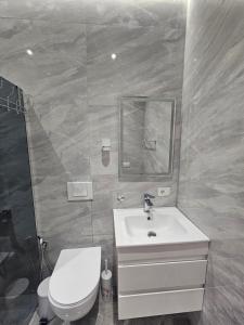 a bathroom with a sink and a toilet and a mirror at Geri's Beach Apartments in Golem
