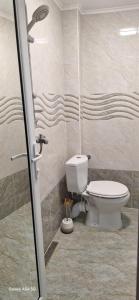 a bathroom with a toilet and a shower at Къща за гости ЕДЕЛВАЙС in Chernomorets
