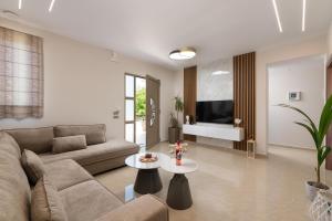 Μια τηλεόραση ή/και κέντρο ψυχαγωγίας στο Aelia Luxury Apartment-with swimming pool