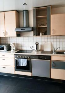 una cocina con estufa y fregadero en Ferienwohnung Leon, en Sinsheim