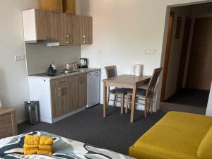 Η κουζίνα ή μικρή κουζίνα στο Apartmán Tília Bešeňová