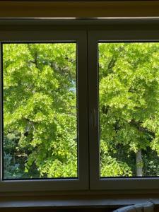 Ảnh trong thư viện ảnh của Comfy & Cozy Apartment ở Neuenhagen