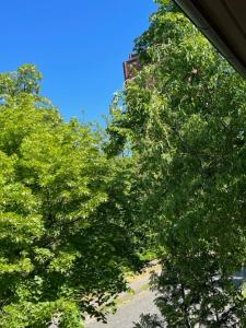 Ảnh trong thư viện ảnh của Comfy & Cozy Apartment ở Neuenhagen +10 ảnh