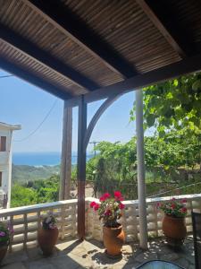 a porch with potted plants and a view of the ocean at Zeus room 3 beds in Panagia